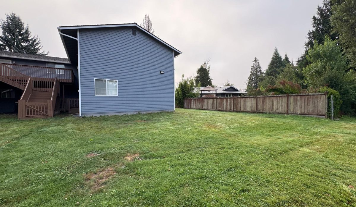 Pacific backyard
